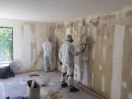 Best Mold Documentation for Insurance Claims  in Homeacre Lyndora, PA